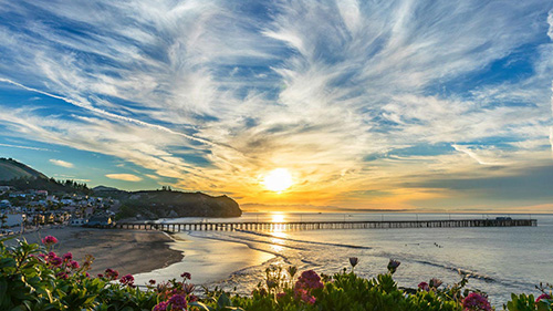 Sunset over the Avila Beach pier on the California Central Coast, with wispy cirrus clouds and pink flowers in the foreground.